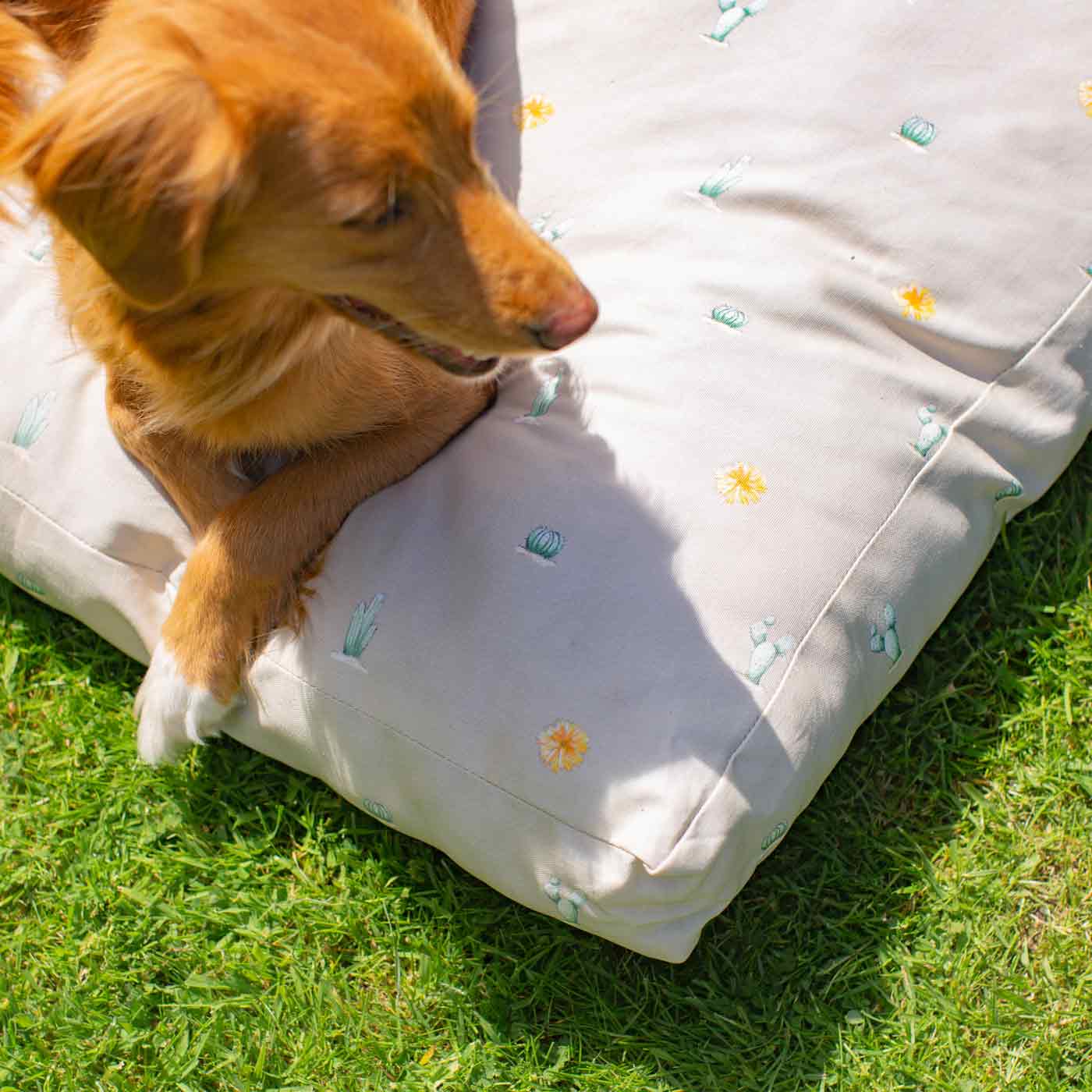 Luxury Sleepeeze Dog Cushion in Cactus, The Perfect Pet Bed Time Accessory! Available Now at Lords & Labradors