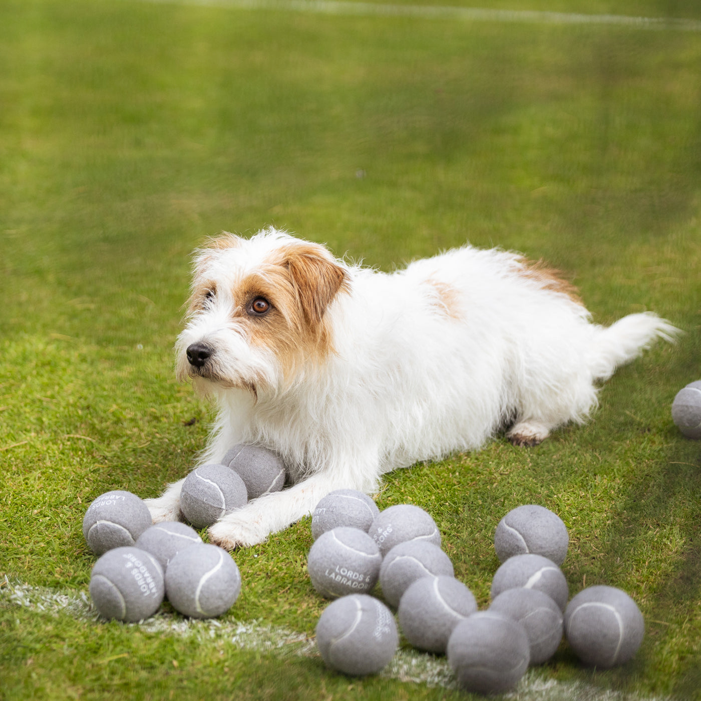 Super Bounce Tennis Balls 3 Pack by Lords & Labradors