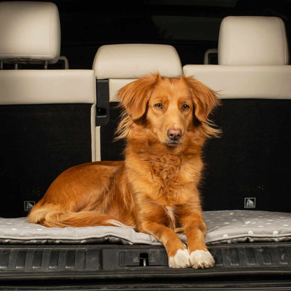 Embark on the perfect pet travel with our luxury Travel Mat in Grey Spot. Featuring a Carry handle for on the move once Rolled up for easy storage, can be used as a seat cover, boot mat or travel bed! Available now at Lords & Labradors