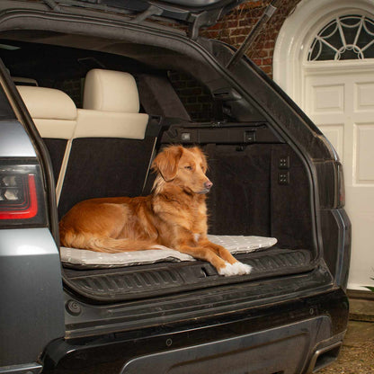 Embark on the perfect pet travel with our luxury Travel Mat in Grey Spot. Featuring a Carry handle for on the move once Rolled up for easy storage, can be used as a seat cover, boot mat or travel bed! Available now at Lords & Labradors