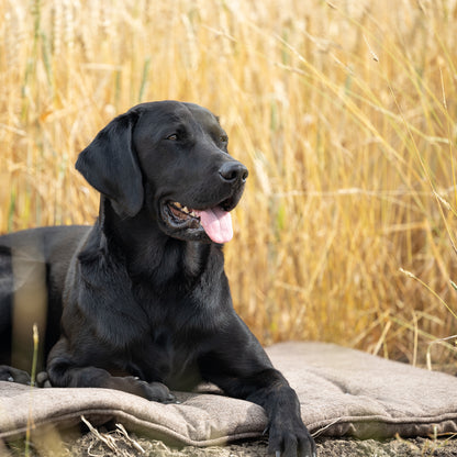 Travel Mat In Inchmurrin Umber by Lords & Labradors