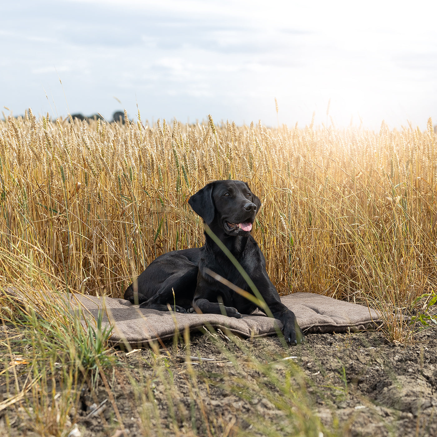 Travel Mat In Inchmurrin Umber by Lords & Labradors