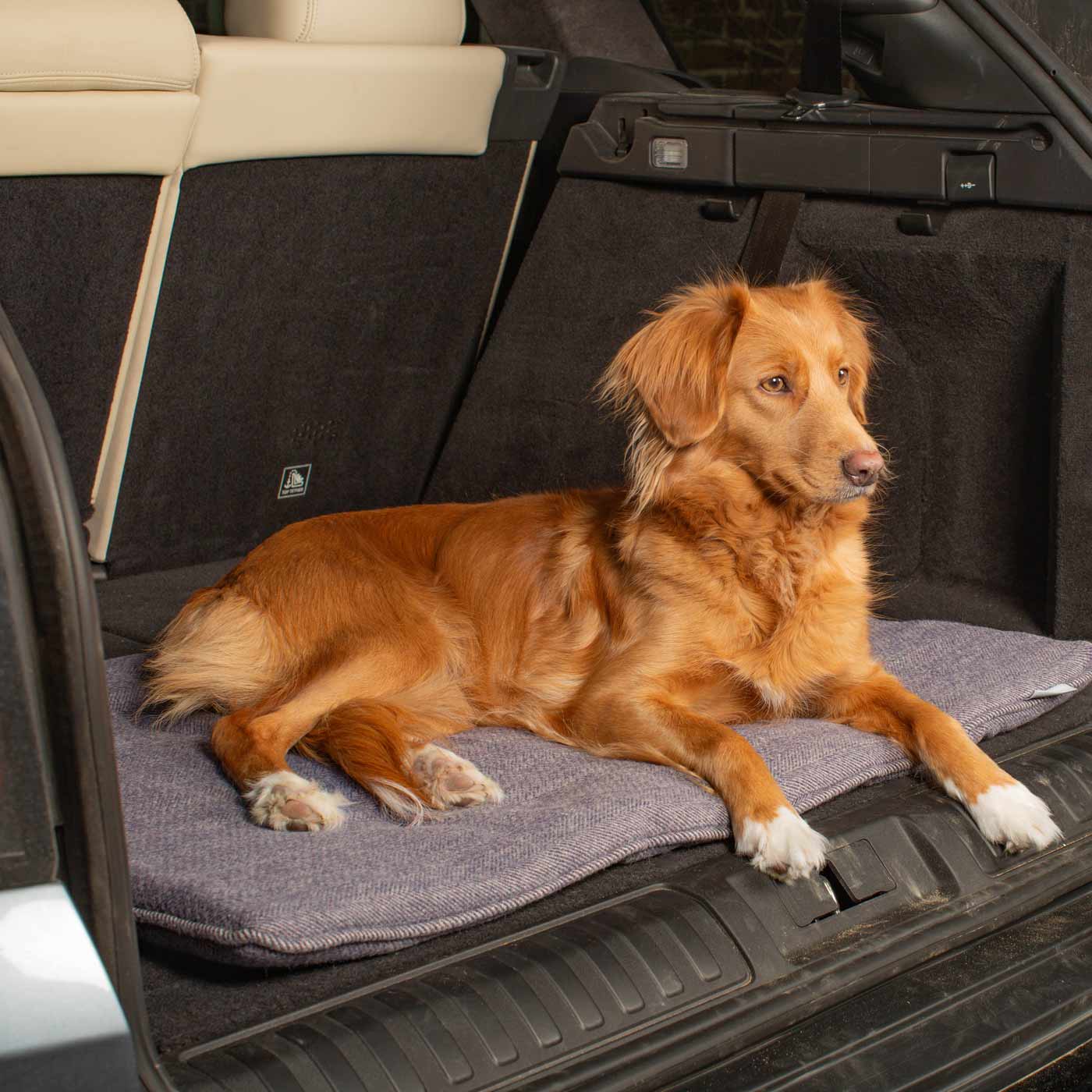 Embark on the perfect pet travel with our luxury Travel Mat in Oxford Herringbone. Featuring a Carry handle for on the move once Rolled up for easy storage, can be used as a seat cover, boot mat or travel bed! Available now at Lords & Labradors