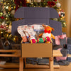 Christmas Dog Toy & Treat Gift Box by Lords & Labradors