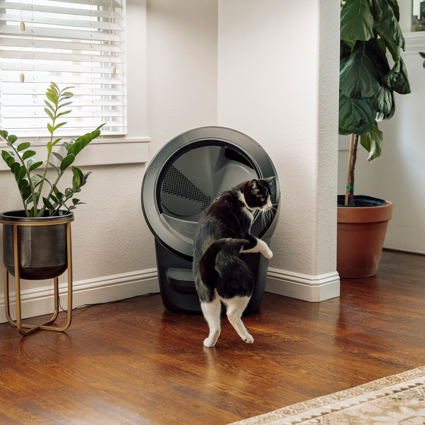 Litter-Robot 4 Smart Self-Cleaning Cat Litter Box With Step