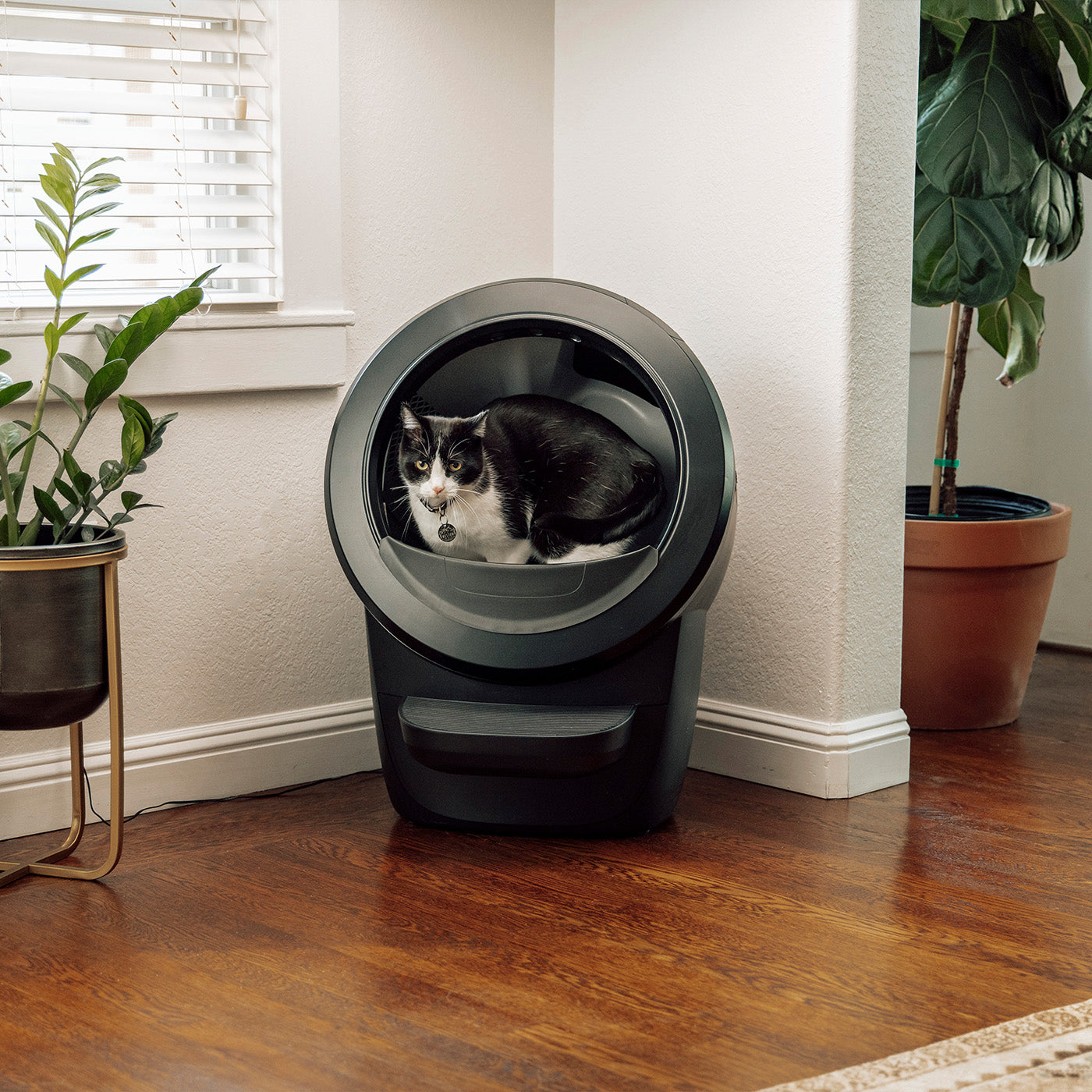 Litter-Robot 4 Smart Self-Cleaning Cat Litter Box With Step