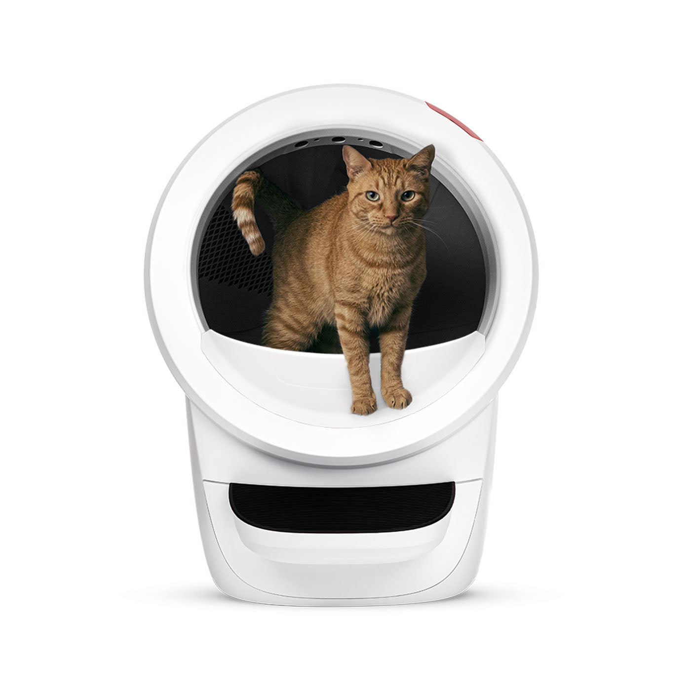 Litter-Robot 4 Smart Self-Cleaning Cat Litter Box With Step