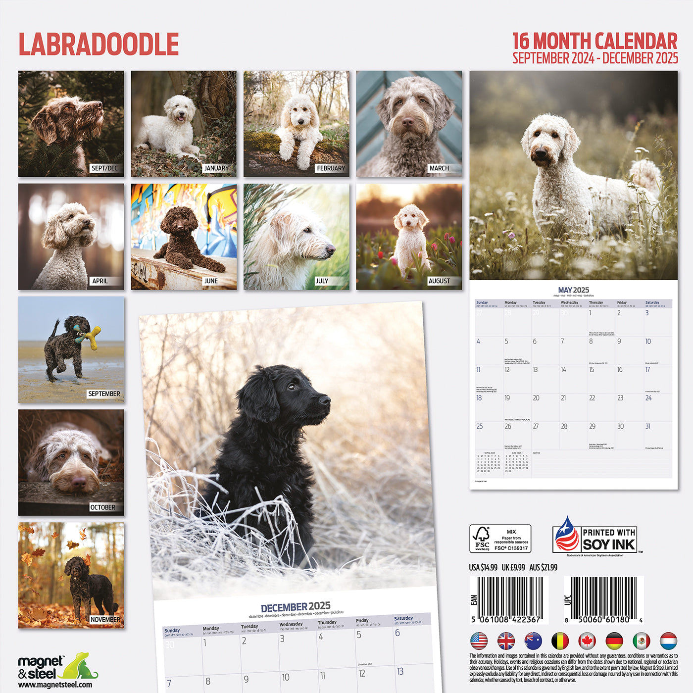 Labradoodle Traditional Calendar 2025