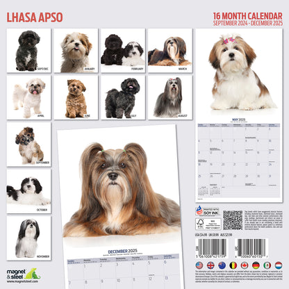 Lhasa Apso Modern Calendar 2025