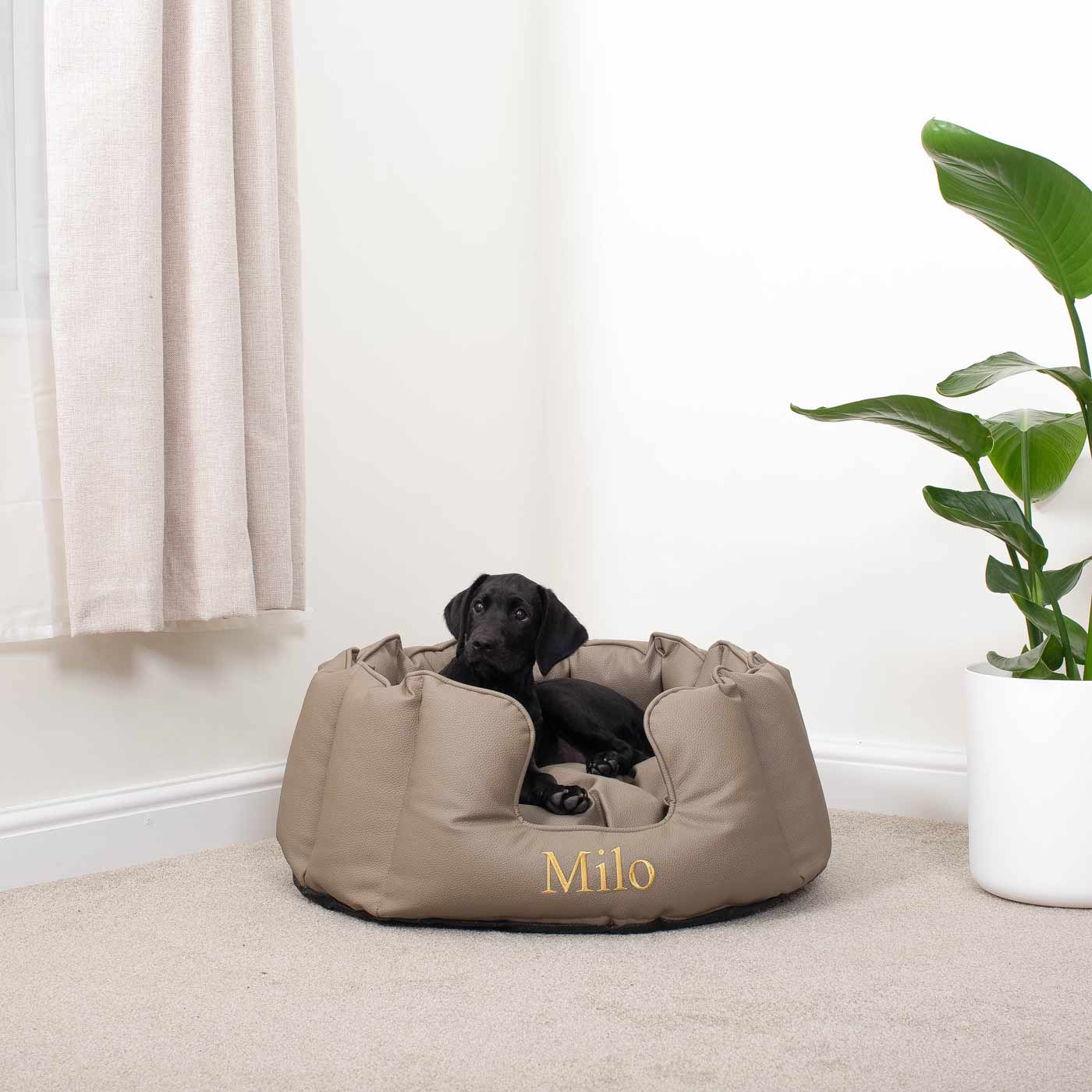 Milo nest dog discount bed