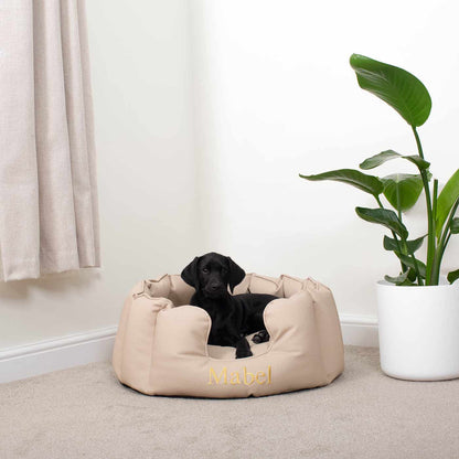 High Wall Bed With Removable Covers in Rhino Tough Sand Faux Leather by Lords & Labradors