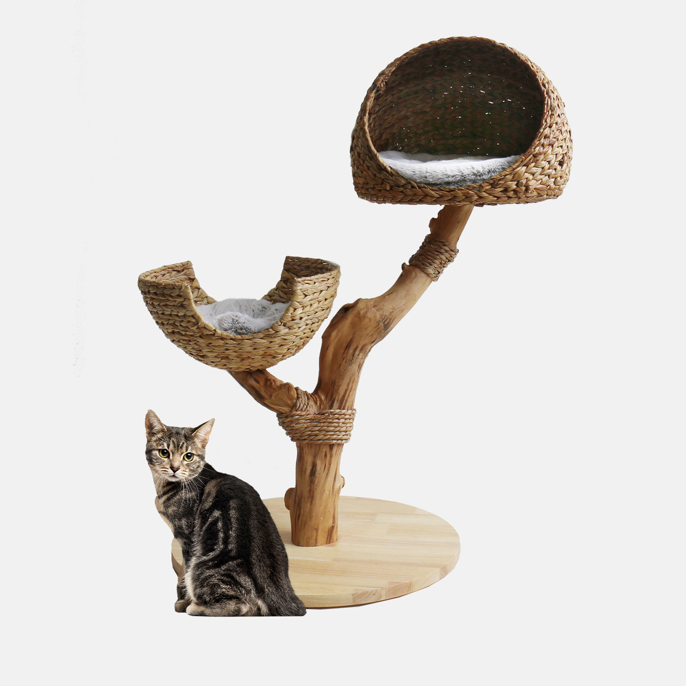 Back to Nature Duo Cat Scratch Post Cat Tree Lords Labradors