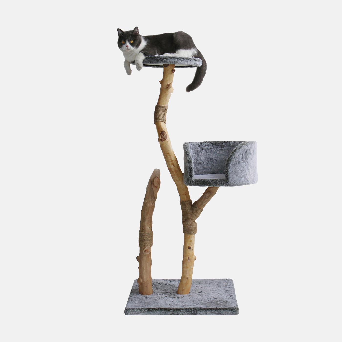 Cat scratch post clearance tree