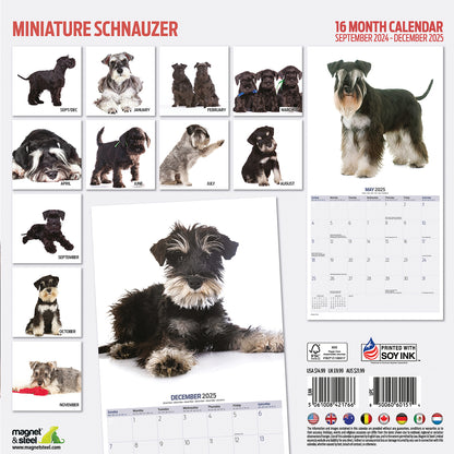 Miniature Schnauzer Modern Calendar 2025