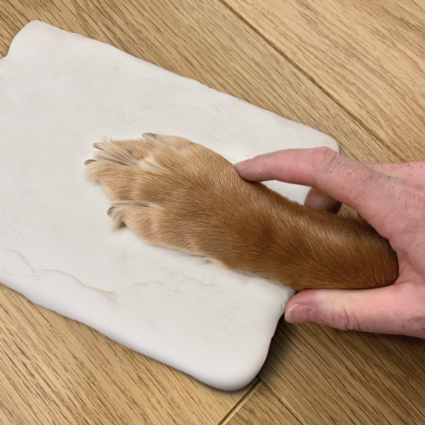 Oh So Precious Paw Print Clay Mould & Photo Frame