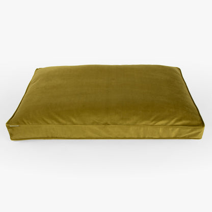 Dog Cushion in Olive Velvet by Lords & Labradors