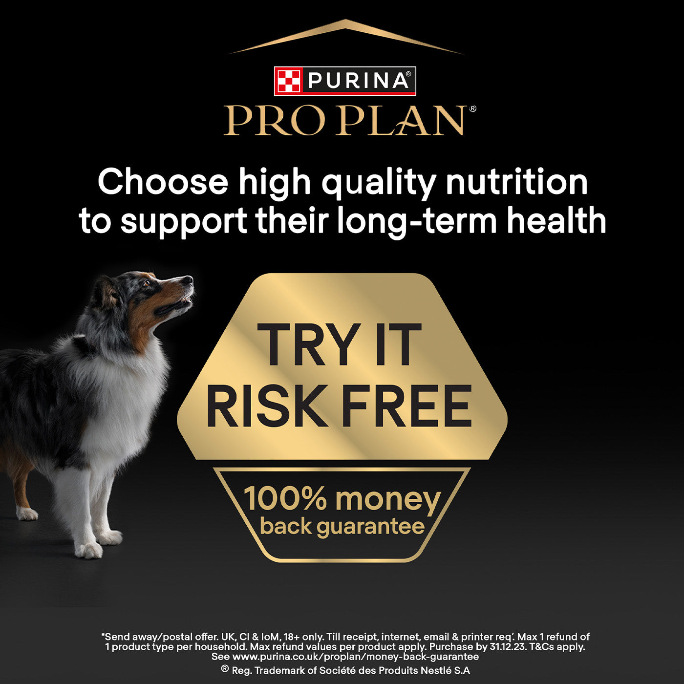 Free purina hotsell dog food