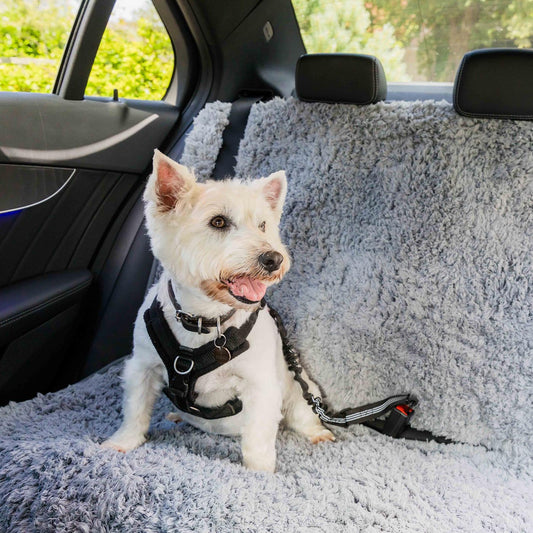 Pet Rebellion Universal Back Car Seat Cover