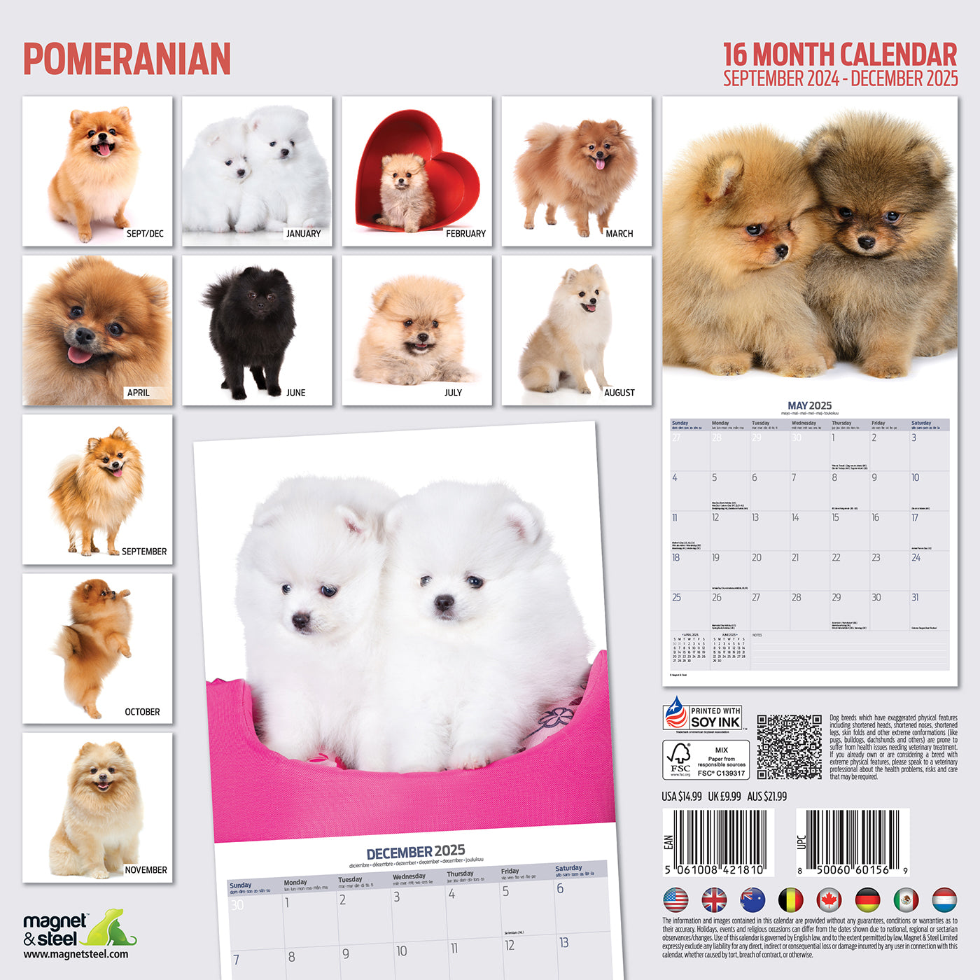 Pomeranian Modern Calendar 2025