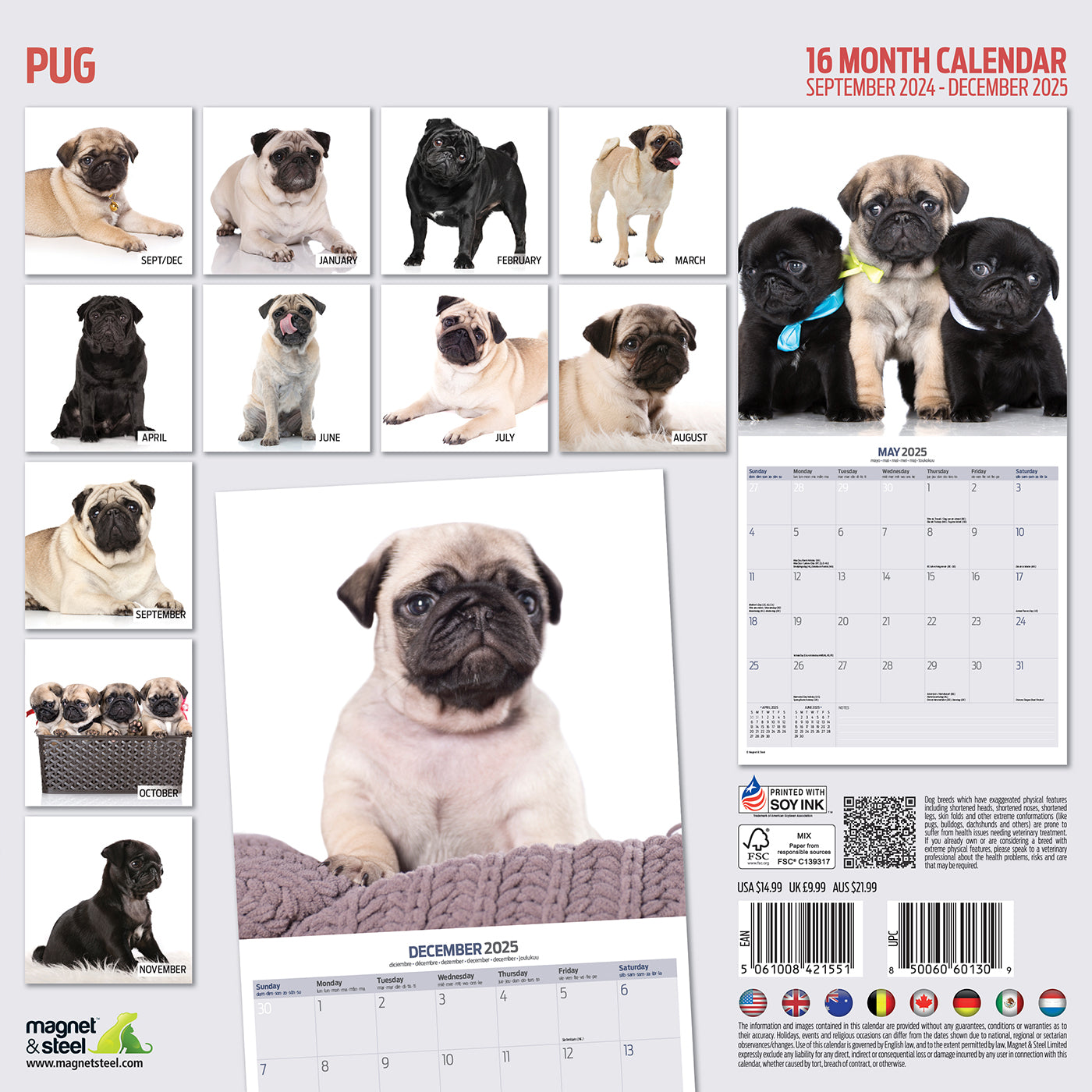 Pug Modern Calendar 2025