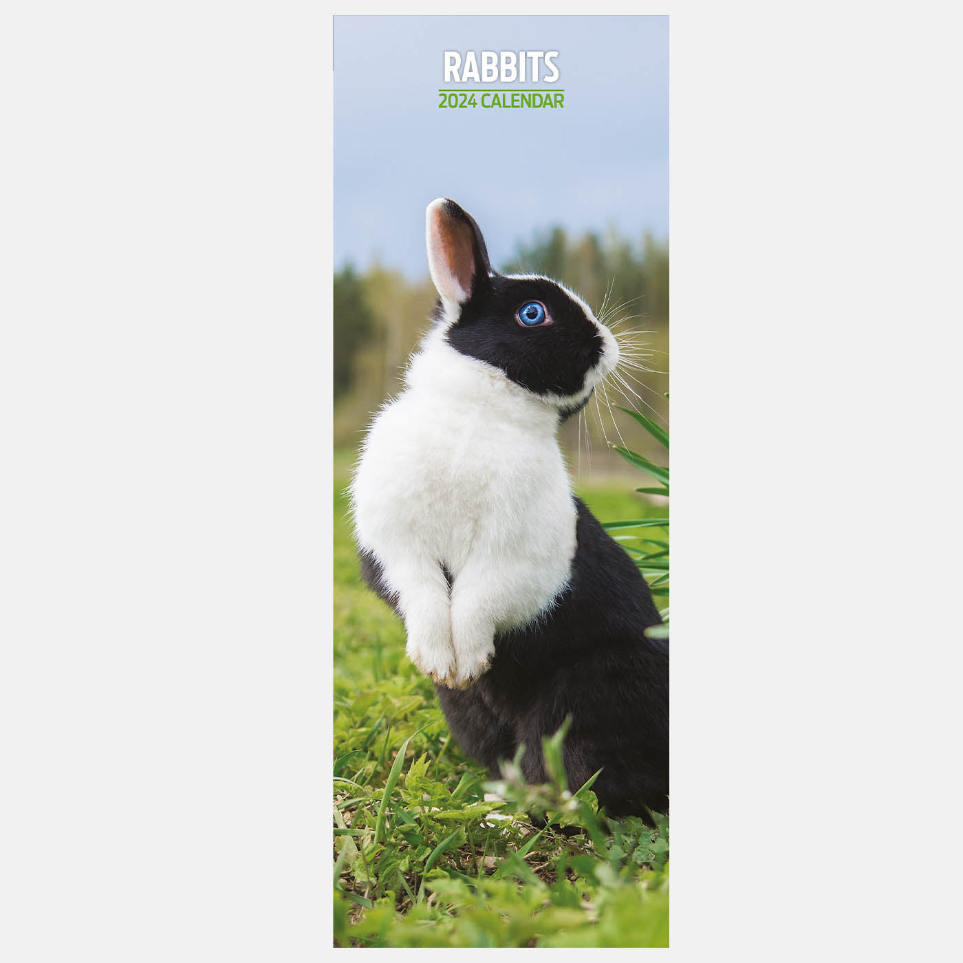 Rabbits 2024 Slim Calendar Gifting Lords Labradors   Rabbits2024SlimCalendar2 