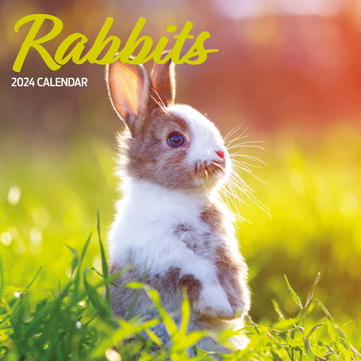 Rabbits Traditional Calendar 2024 Lords & Labradors
