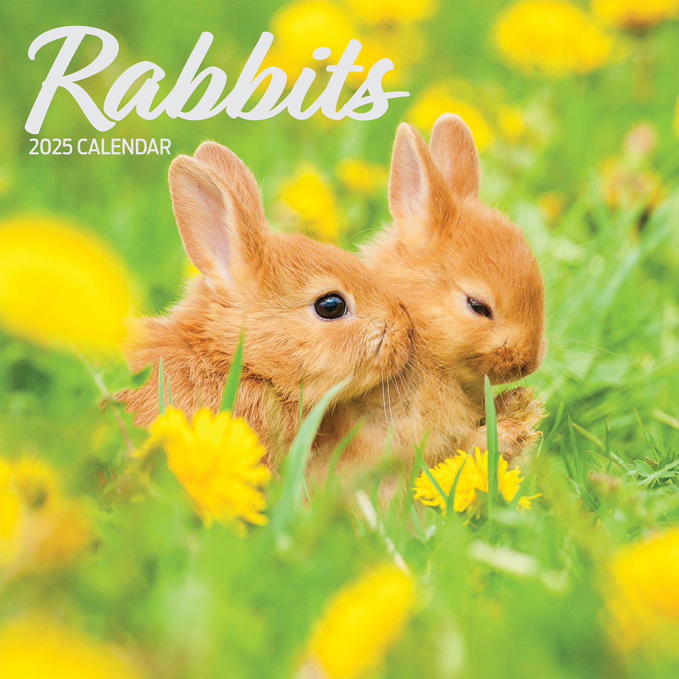 Rabbits Traditional Calendar 2025