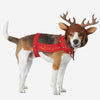 Christmas Reindeer Fancy Dress Dog Costume