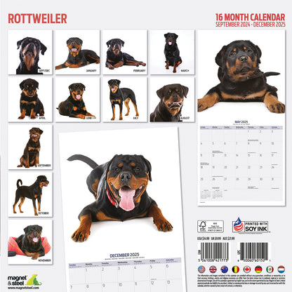 Rottweiler Modern Calendar 2025