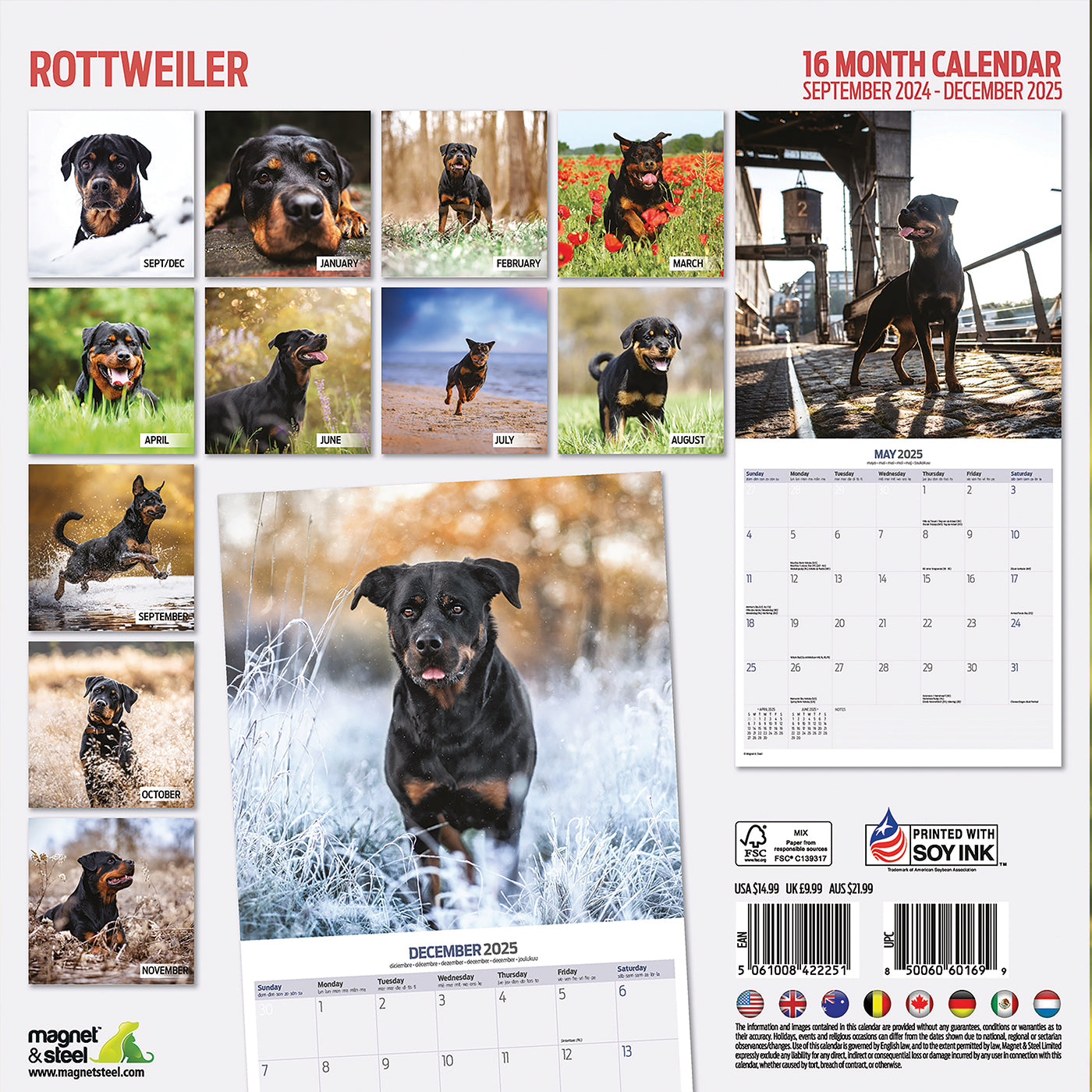 Rottweiler Traditional Calendar 2025