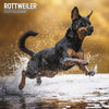 Rottweiler Traditional Calendar 2025