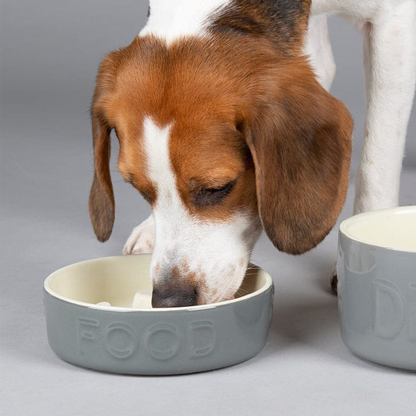 Slow Feeder Bowls