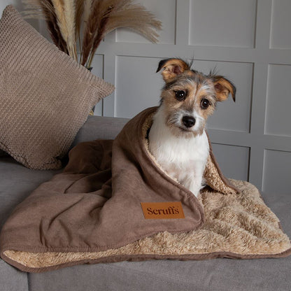 Scruffs Snuggle Blanket - Caramel Brown