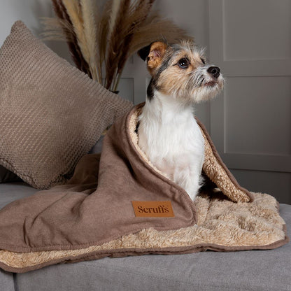 Scruffs Snuggle Blanket - Caramel Brown