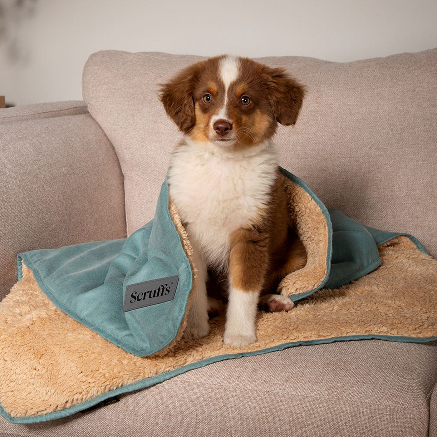 Green store dog blanket