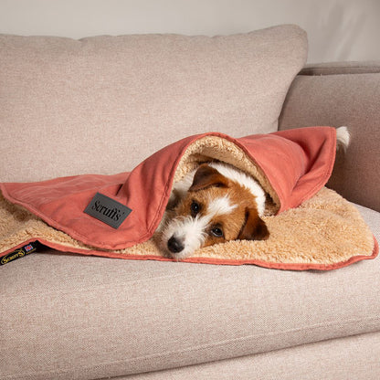 Scruffs Snuggle Blanket - Terracotta