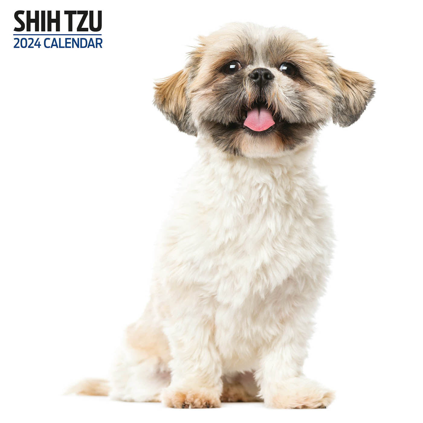 Shih Tzu 2024 Modern Calendar Gifting Lords & Labradors