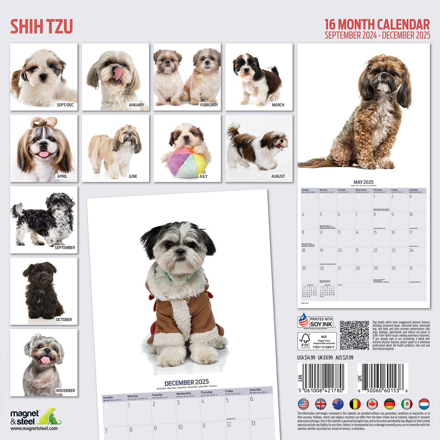 Shih Tzu Modern Calendar 2025