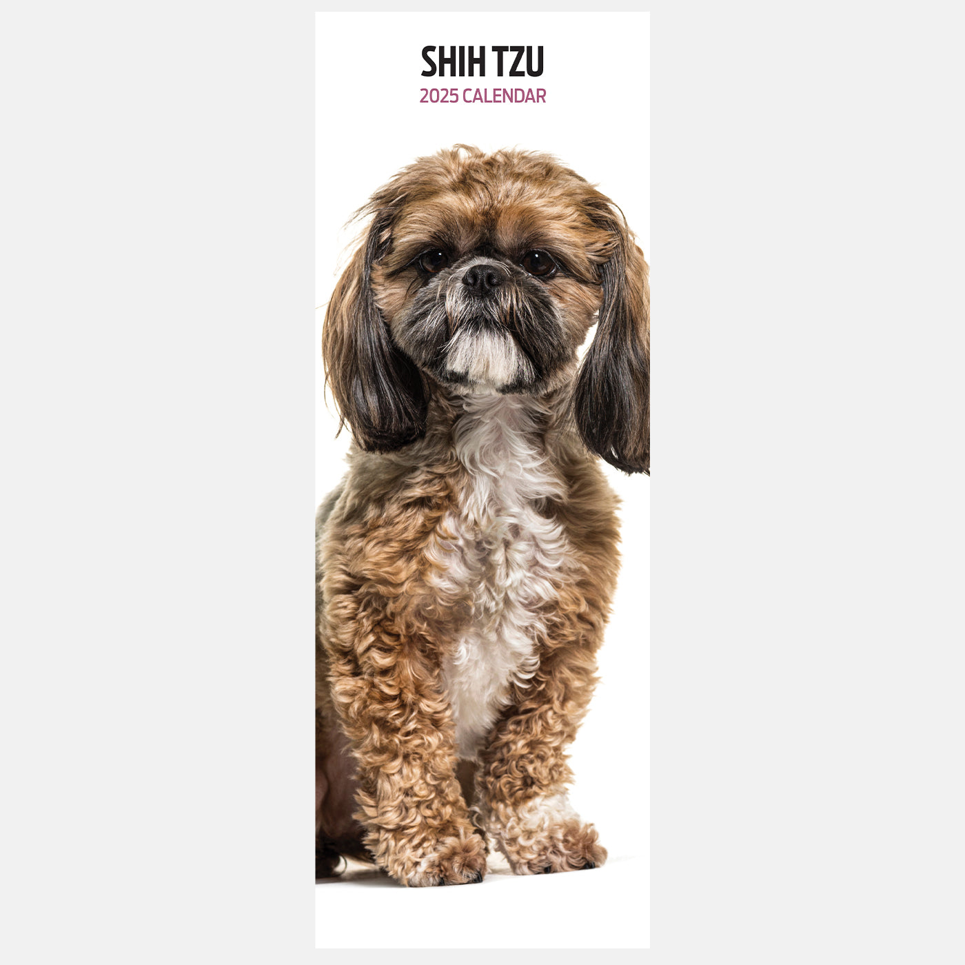 Shih Tzu Slim Calendar 2025