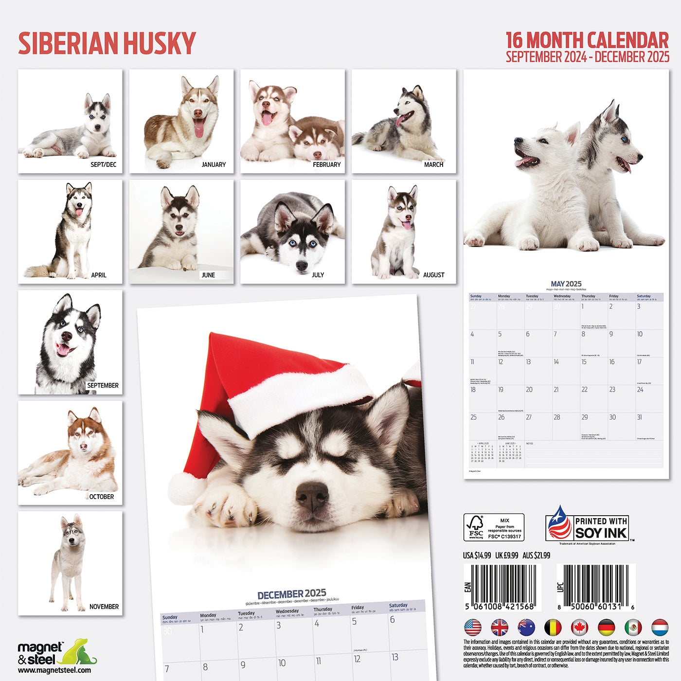 Siberian Husky Modern Calendar 2025