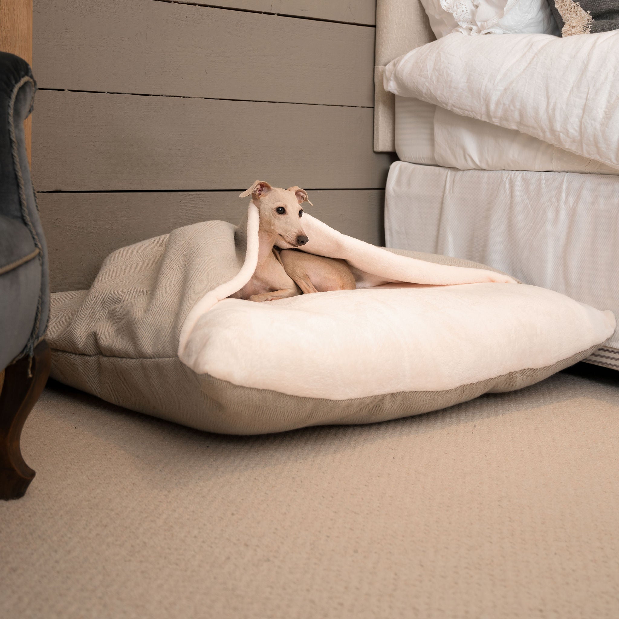 Chihuahua burrow bed best sale