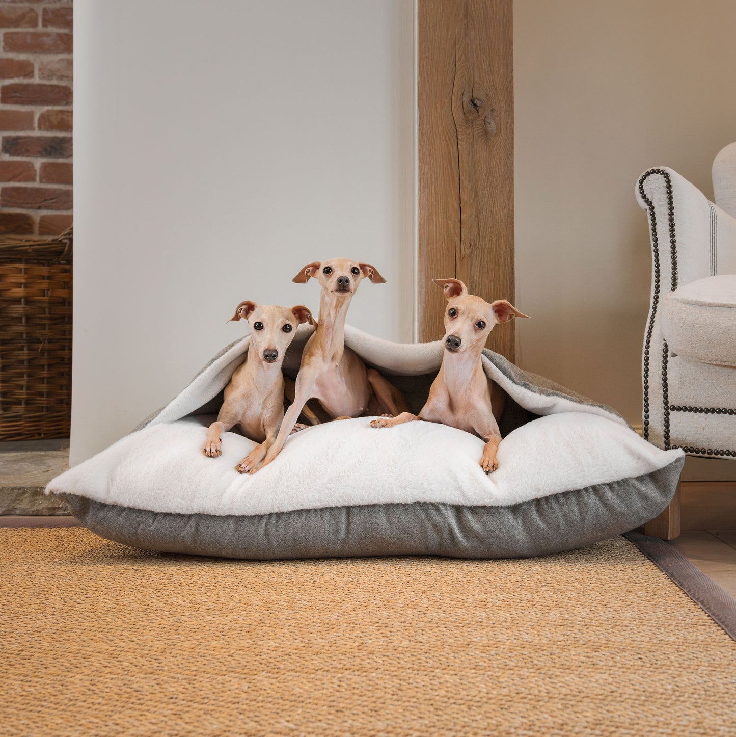 Sleepy Burrows Bed With Removable Cover In Inchmurrin Ground by Lords & Labradors