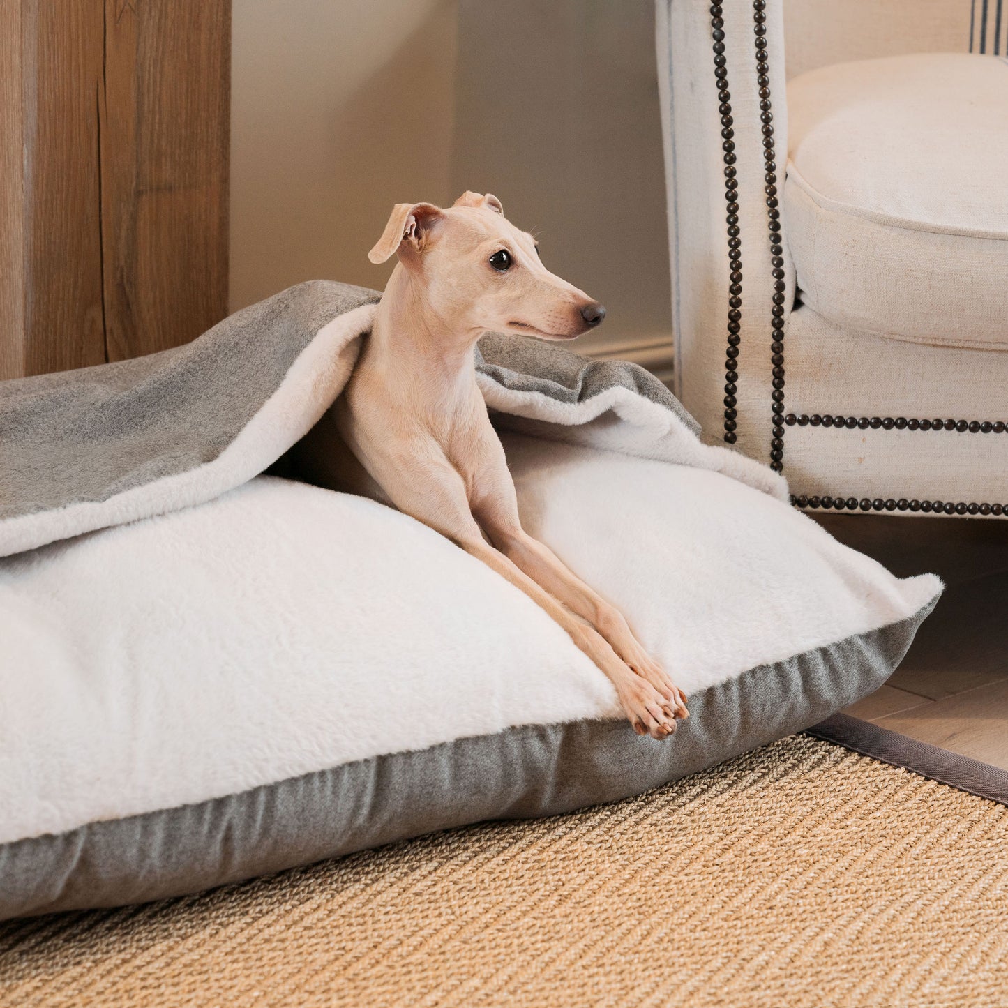 Sleepy Burrows Bed With Removable Cover In Inchmurrin Ground by Lords & Labradors