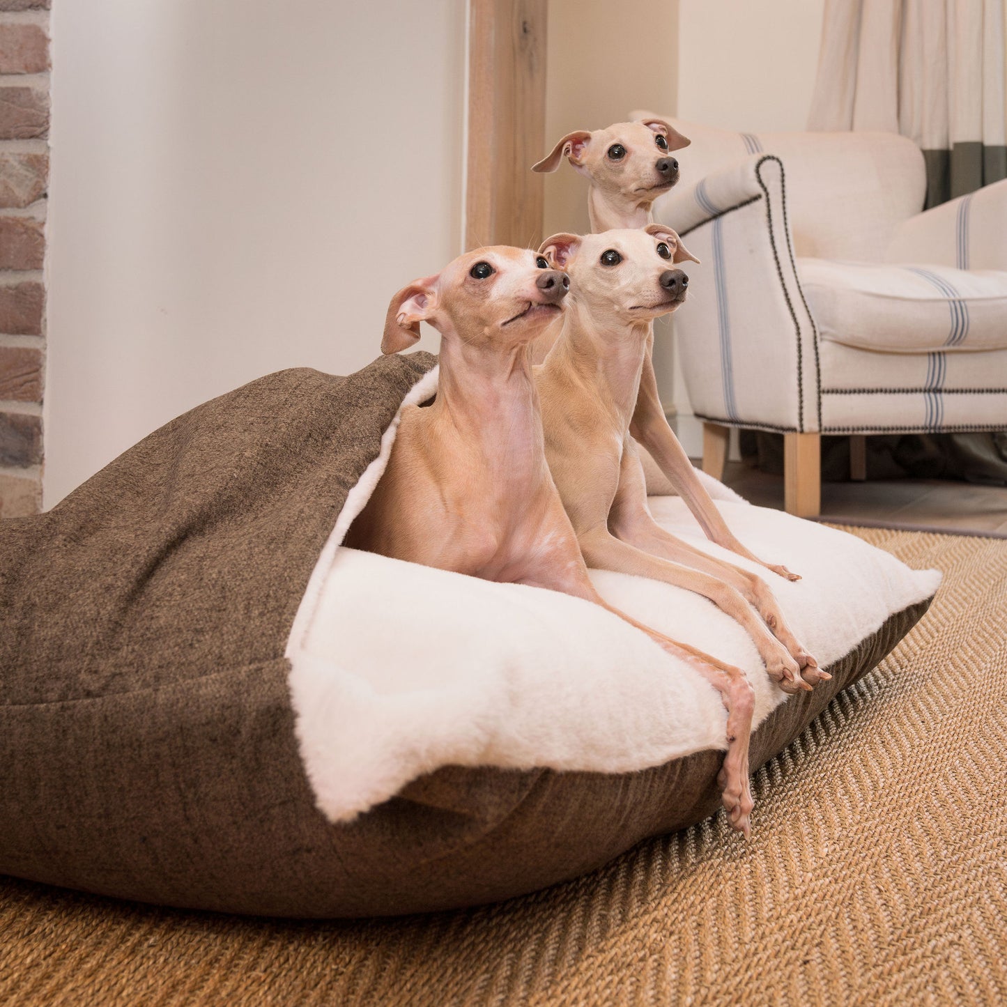 Sleepy Burrows Bed In Inchmurrin Umber by Lords & Labradors