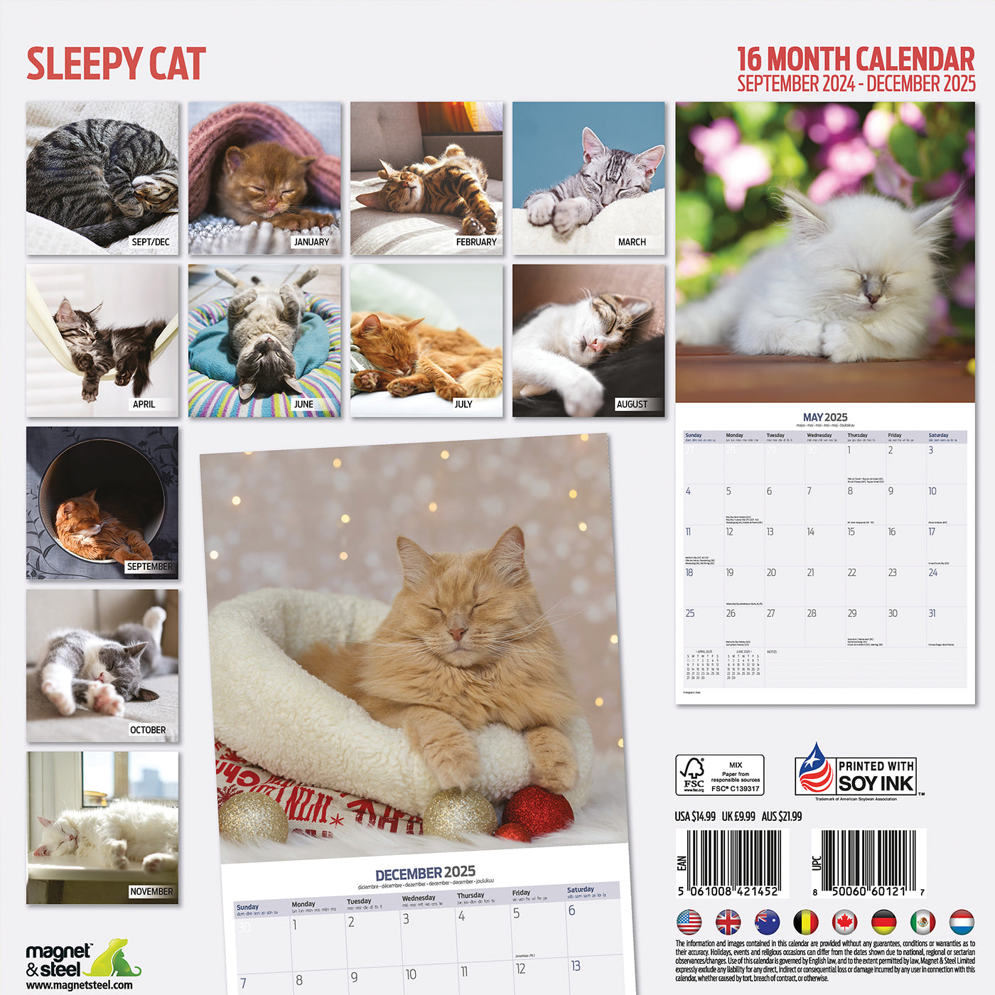 Sleepy Cat Calendar 2025