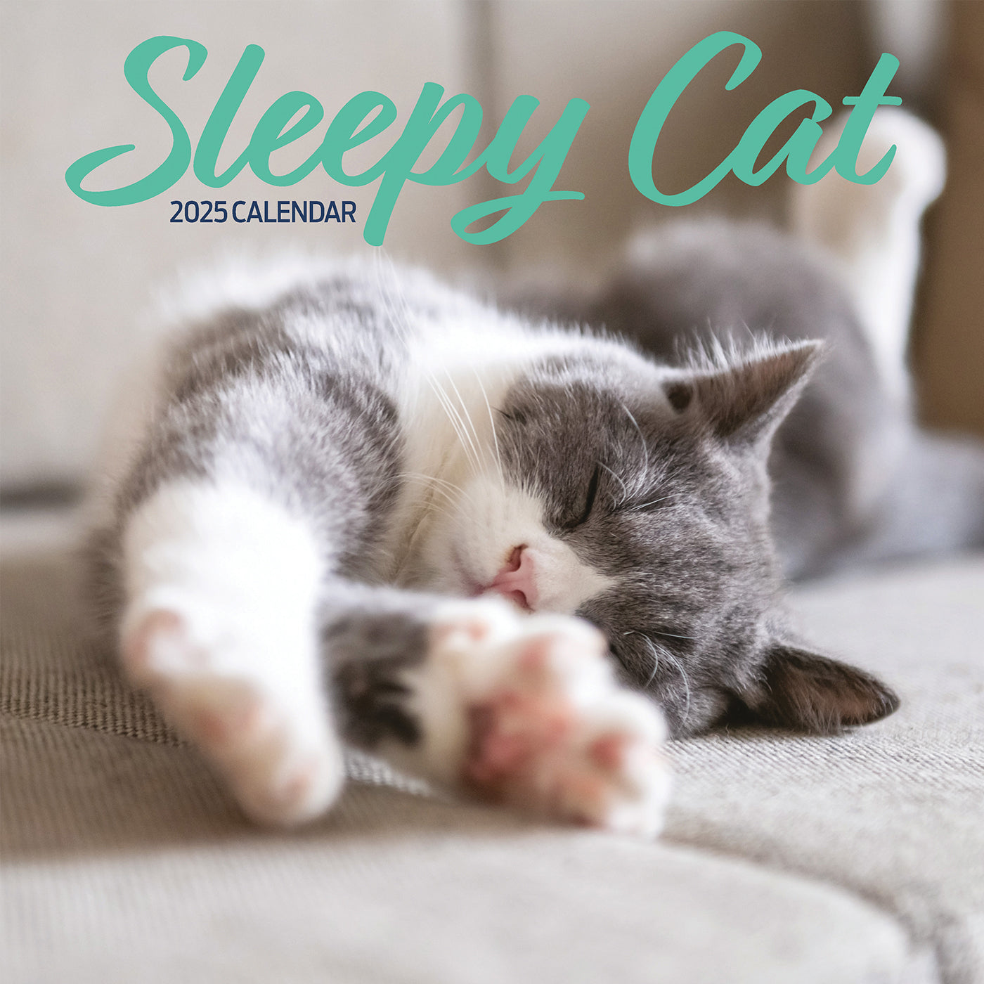 Sleepy Cat Calendar 2025