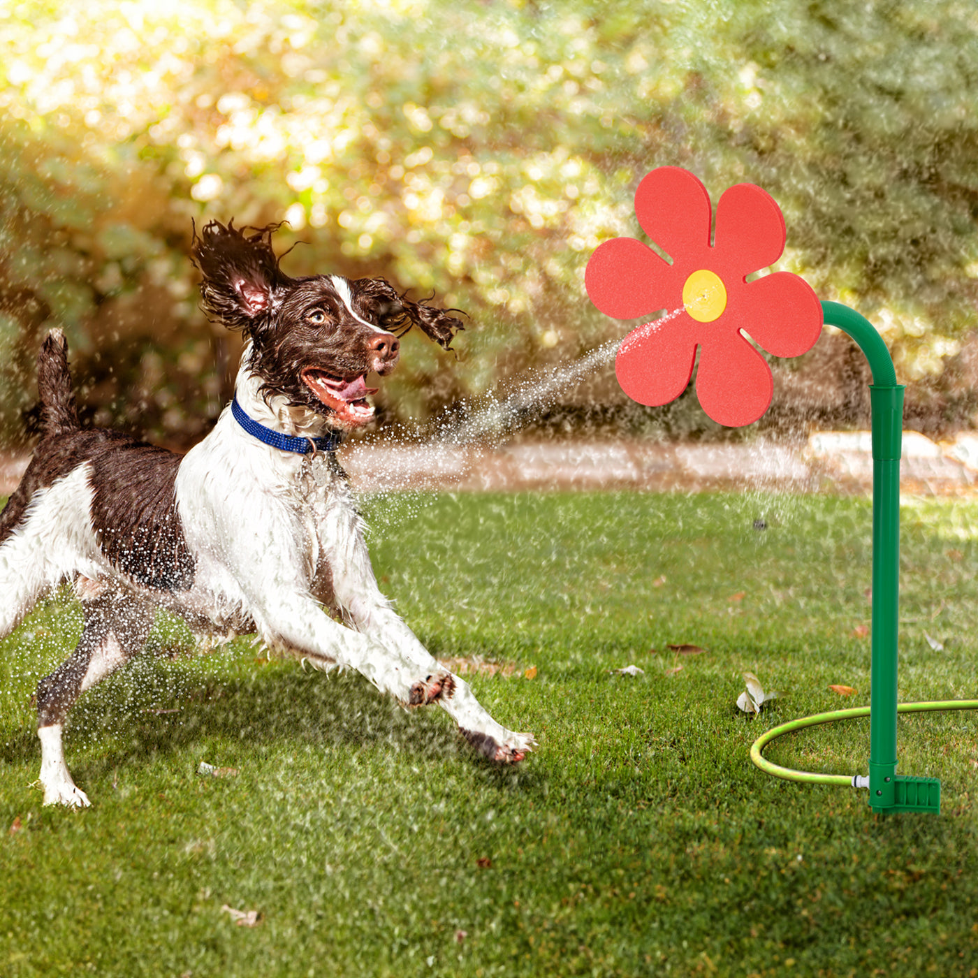 Dancing Flower Pet Water Sprinkler 