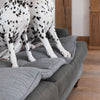 Sofa Topper in Inchmurrin Ground By Lords & Labradors