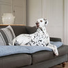 Sofa Topper in Inchmurrin Iceberg by Lords & Labradors