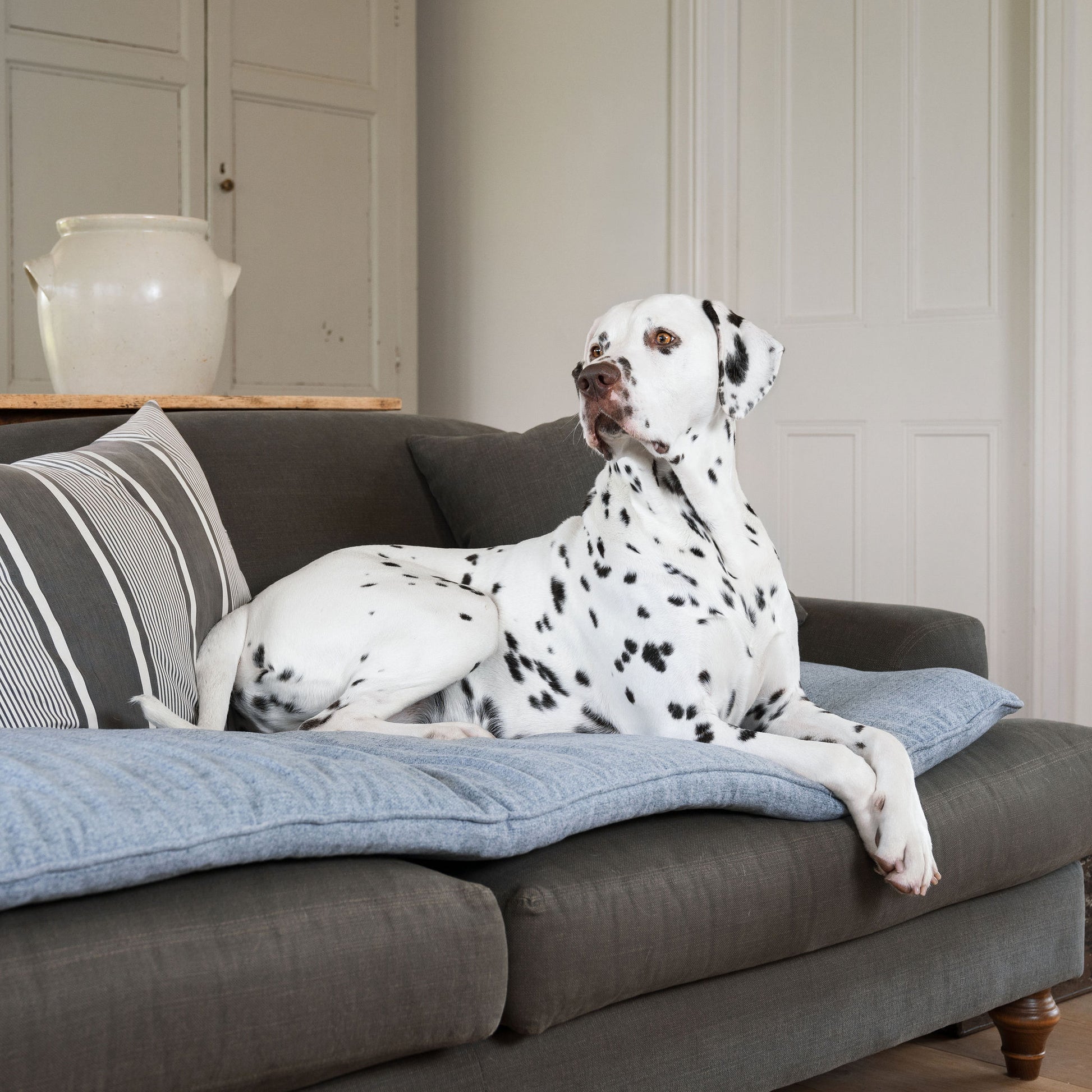 Discover Our Luxury Inchmurrin Sofa Topper, The Perfect Sofa Protector For Pets, In Stunning Grey Iceberg Available Now at Lords & Labradors